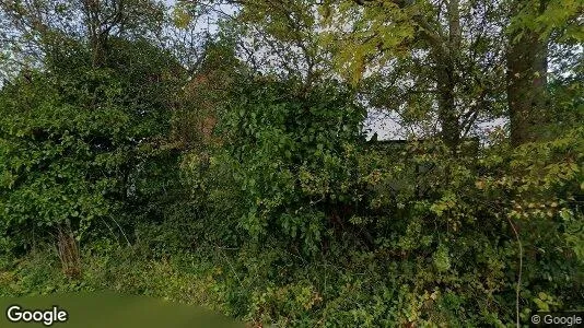 Apartments for rent in Location is not specified - Photo from Google Street View