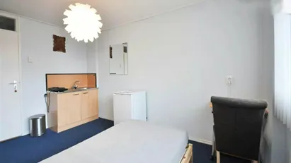 Room for rent in Rotterdam
