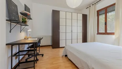 Room for rent in Padua, Veneto