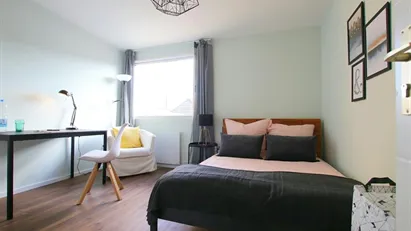 Room for rent in Cologne Ehrenfeld, Cologne (region)
