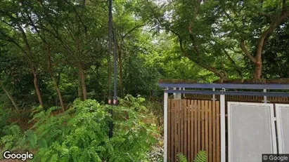 Apartments for rent in Halle (Saale) - Photo from Google Street View