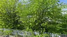 Room for rent, Øvre Eiker, Buskerud, &lt;span class=&quot;blurred street&quot; onclick=&quot;ProcessAdRequest(12920553)&quot;&gt;&lt;span class=&quot;hint&quot;&gt;See streetname&lt;/span&gt;[xxxxxxxxxxxxx]&lt;/span&gt;