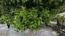 Apartment for rent, Patras, Western Greece, &lt;span class=&quot;blurred street&quot; onclick=&quot;ProcessAdRequest(13030159)&quot;&gt;&lt;span class=&quot;hint&quot;&gt;See streetname&lt;/span&gt;[xxxxxxxxxxxxx]&lt;/span&gt;