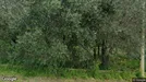 Apartment for rent, Rimini, Emilia-Romagna