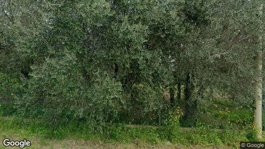 Apartments for rent in Rimini - Photo from Google Street View