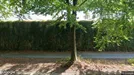 Apartment for rent, Bielefeld, Nordrhein-Westfalen, &lt;span class=&quot;blurred street&quot; onclick=&quot;ProcessAdRequest(13897105)&quot;&gt;&lt;span class=&quot;hint&quot;&gt;See streetname&lt;/span&gt;[xxxxxxxxxxxxx]&lt;/span&gt;