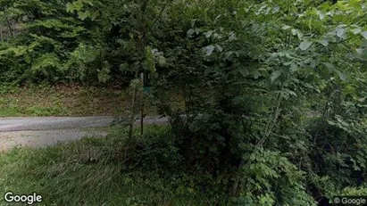 Apartments for rent in Gaflenz - Photo from Google Street View