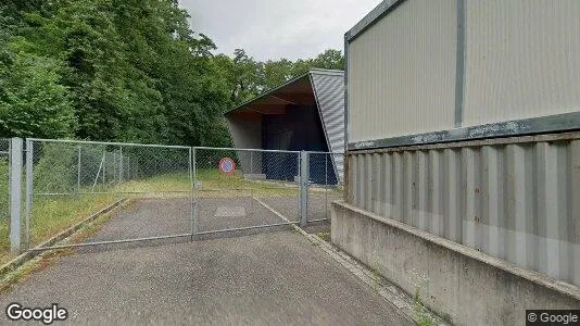 Apartments for rent in Arlesheim - Photo from Google Street View