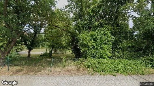 Apartments for rent in Anhalt-Bitterfeld - Photo from Google Street View