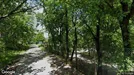 Apartment for rent, Castel del Piano, Toscana, Terre Gialle