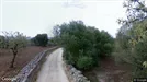 Apartment for rent, Monopoli, Puglia, Contrada Grotta dellAcqua