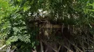 Apartment for rent, Roma Municipio VIII – Appia Antica, Rome, Via dei Prati dei Papa