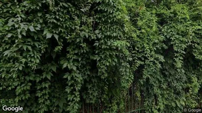 Apartments for rent in Voluntari - Photo from Google Street View