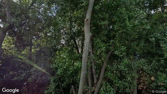 Apartments for rent in Rijeka - Photo from Google Street View