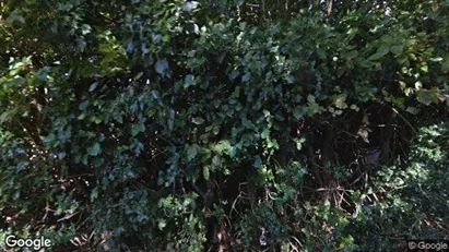 Apartments for rent in Halstead - Essex - Photo from Google Street View