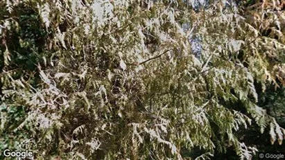 Apartments for rent in Zürich Distrikt 9 - Photo from Google Street View