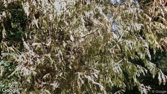 Apartments for rent in Zürich Distrikt 9 - Photo from Google Street View