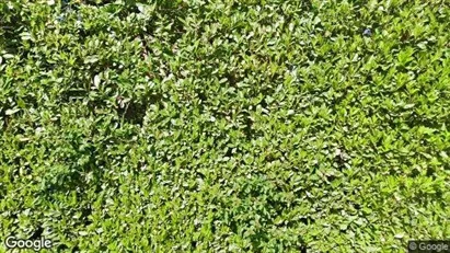 Apartments for rent in Nottingham - Nottinghamshire - Photo from Google Street View