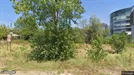 Apartment for rent, Bucharest - Sectorul 1, Bucharest
