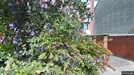Apartment for rent, Nørresundby, North Jutland Region, Skovvej<span class="blurred street-number" onclick="ProcessAdRequest(15937347)"><span class="hint">See no.</span>[xxxxxx]</span>