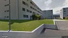 Apartment for rent, Thun, Bern (Kantone), Scheibenstrasse