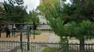 Room for rent, Caltanissetta, Sicilia, Rue Saint-Denis