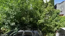 Apartment for rent, Bucharest - Sectorul 3, Bucharest, Strada Matei Basarab