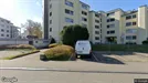 Apartment for rent, Dielsdorf, Zürich (Kantone), Huebwiesenstrasse