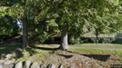 Apartment for rent, Barnim, Brandenburg, Choriner Bahnhofstr.