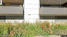 Apartment for rent, Fußach, Vorarlberg, Seestraße