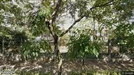 Apartment for rent, Ploieşti, Sud Muntenia, Aleea Strunga