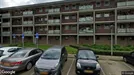 Apartment for rent, Arnhem, Gelderland, Lage Waard