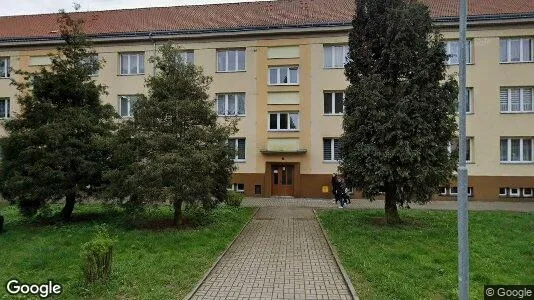 Apartments for rent in Sokolov - Photo from Google Street View