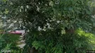 Apartment for rent, Kassel, Hessen, Hoststraße
