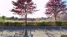 Apartment for rent, Smørum, Greater Copenhagen, Søagerhusene<span class="blurred street-number" onclick="ProcessAdRequest(16386271)"><span class="hint">See no.</span>[xxxxxx]</span>