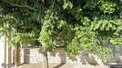 Apartment for rent, Patras, Western Greece, Νεοπτόλεμου<span class="blurred street-number" onclick="ProcessAdRequest(16879342)"><span class="hint">See no.</span>[xxxxxx]</span>