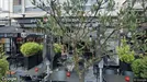 Apartment for rent, Stad Antwerp, Antwerp, Groenplaats<span class="blurred street-number" onclick="ProcessAdRequest(17068526)"><span class="hint">See no.</span>[xxxxxx]</span>