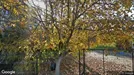 Apartment for rent, Cluj-Napoca, Nord-Vest, Strada Borhanciului<span class="blurred street-number" onclick="ProcessAdRequest(17130299)"><span class="hint">See no.</span>[xxxxxx]</span>