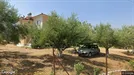 Apartment for rent, Patras, Western Greece, Αγίων Πάντων<span class="blurred street-number" onclick="ProcessAdRequest(17285744)"><span class="hint">See no.</span>[xxxxxx]</span>
