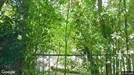 Apartment for rent, Roma Municipio XIV – Monte Mario, Rome, Via Massimi<span class="blurred street-number" onclick="ProcessAdRequest(17667581)"><span class="hint">See no.</span>[xxxxxx]</span>