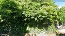 Room for rent, Oslo Vestre Aker, Oslo, Elvefaret<span class="blurred street-number" onclick="ProcessAdRequest(17682850)"><span class="hint">See no.</span>[xxxxxx]</span>