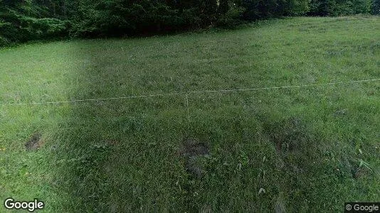 Apartments for rent in Gaming - Photo from Google Street View