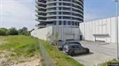 Apartment for rent, Rzeszów, Podkarpackie, Ignacego Paderewskiego