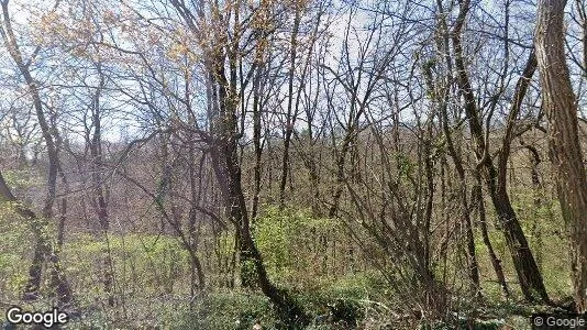 Apartments for rent in Location is not specified - Photo from Google Street View