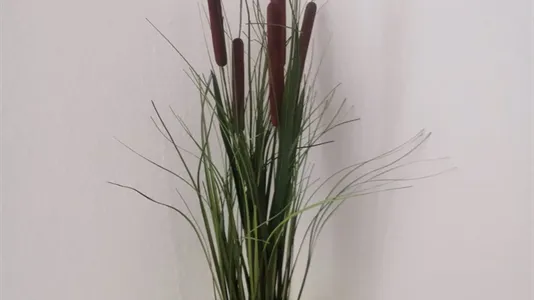 Apartments in Kassel - photo 10