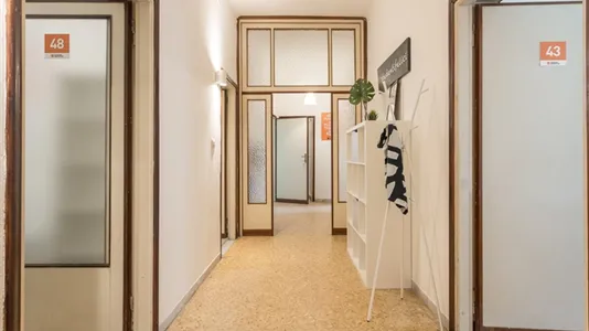 Rooms in Pisa - photo 8