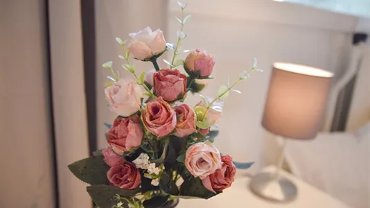 Apartments in Capelle aan den IJssel - photo 6