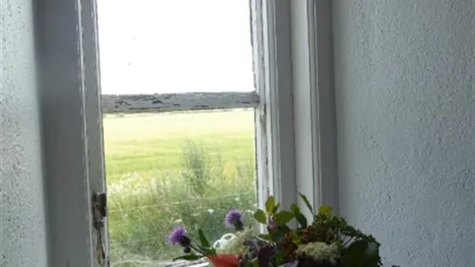 Apartments in Trelleborg - photo 6