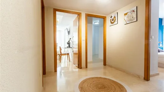Rooms in Alicante/Alacant - photo 9