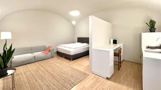 Apartments in Vienna Josefstadt - photo 2